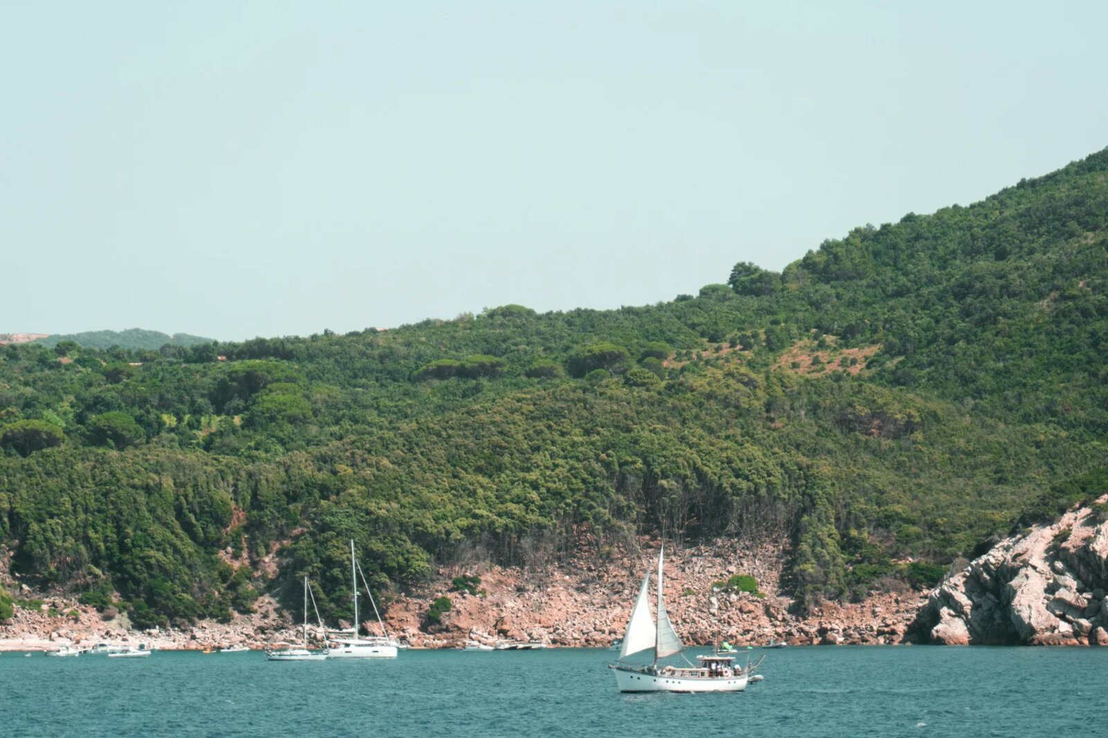 Private Sailing Tours